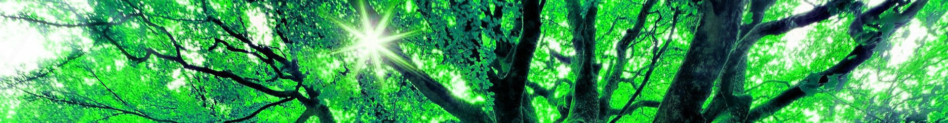 熊猫体育「中国」官方网站 - 2026年国际足联世界杯全球顶尖体育赛事（The 23rd FIFA World Cup）