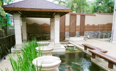 别墅庭院景观鱼池案例