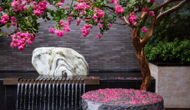 新中式风格案例